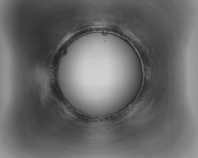 X0000114231208200910161603