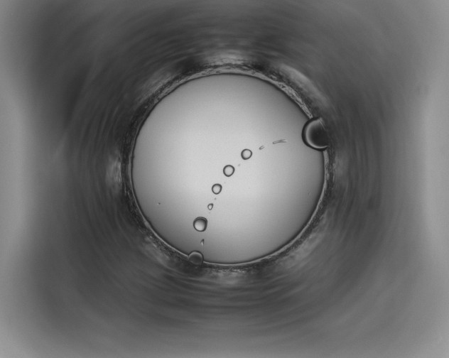 X0000114231209200910161603