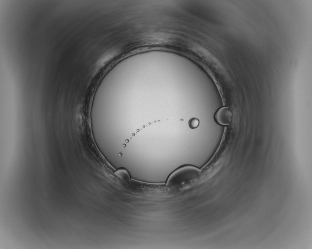 X0000114231210200910161603