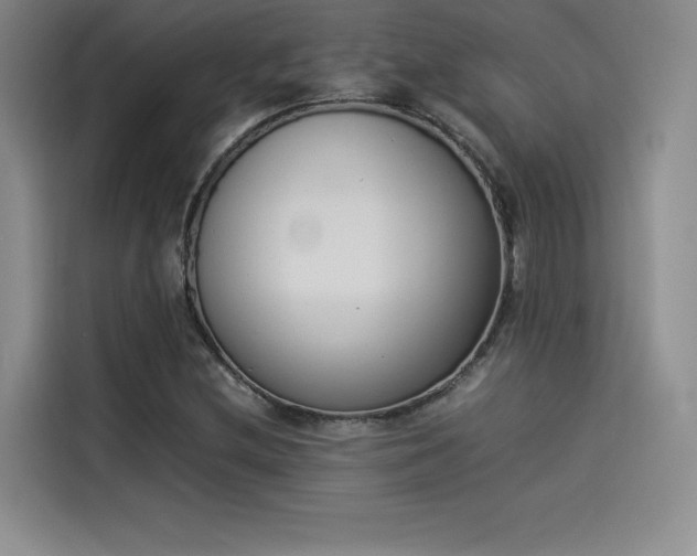 X0000114231212200910161603