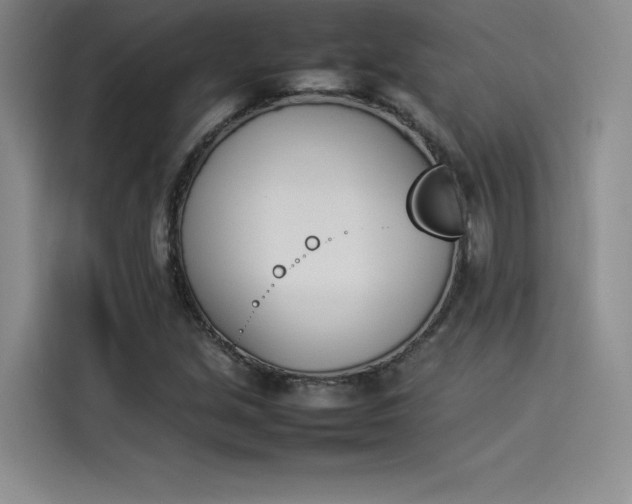X0000114231213200910161603