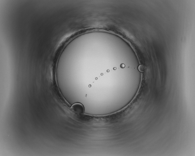 X0000114231214200910161603