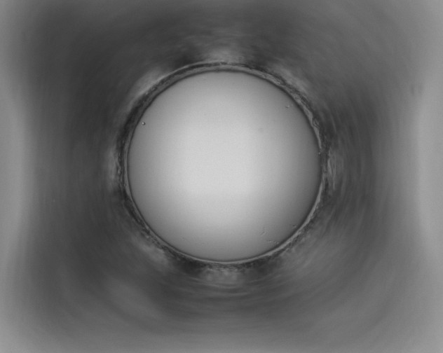 X0000114231215200910161603