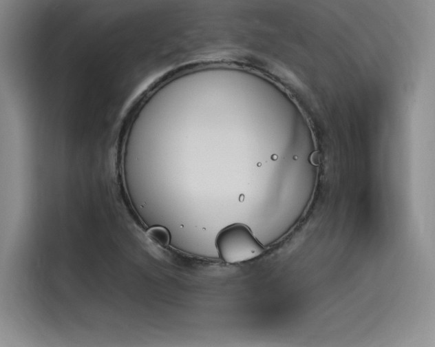 X0000114231216200910161603