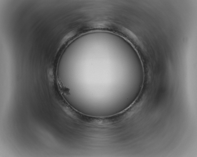 X0000114231218200910161603