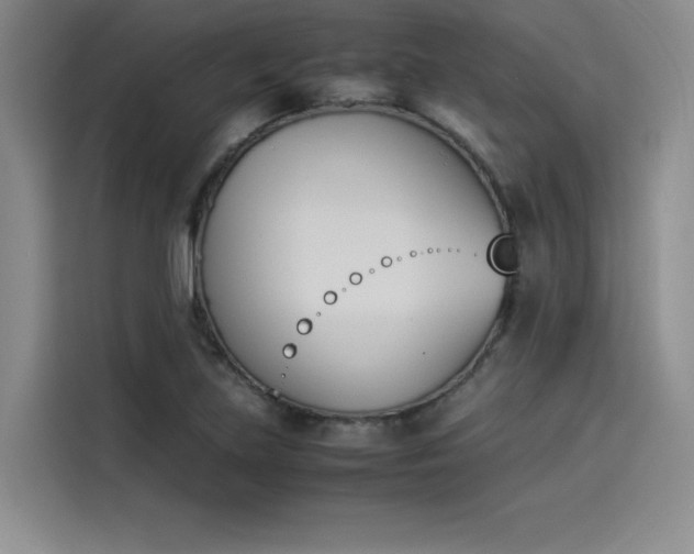 X0000114231219200910161603
