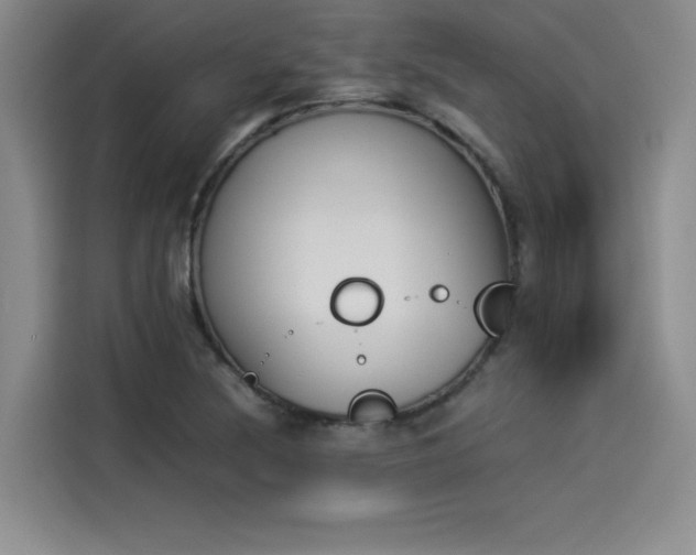 X0000114231220200910161603