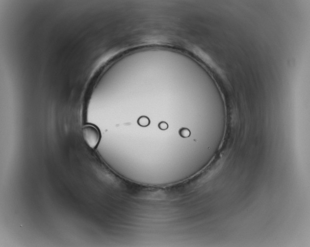 X0000114231222200910161603