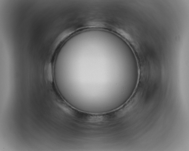 X0000114231223200910161603