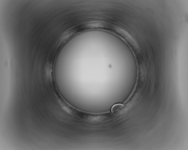 X0000114231225200910161603