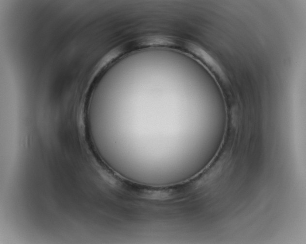 X0000114231229200910161604