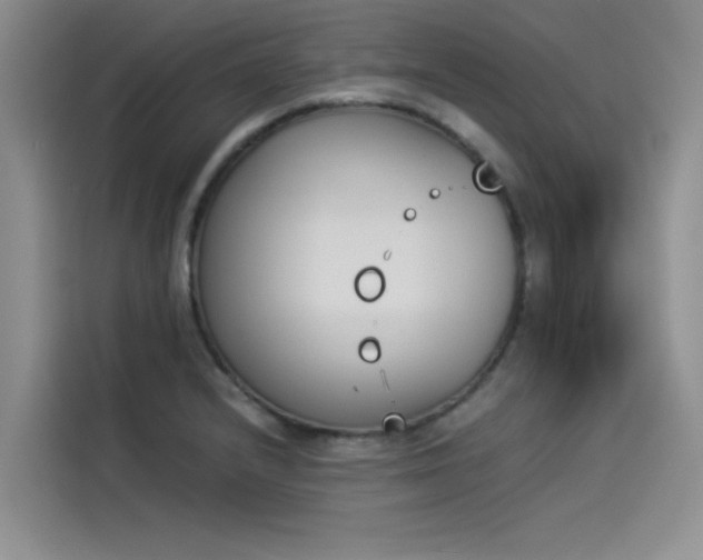 X0000114231232200910161604