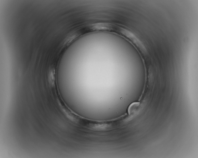 X0000114231233200910161604