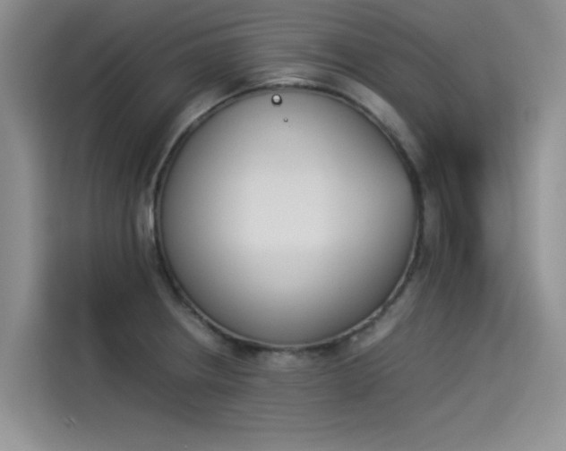 X0000114231234200910161604