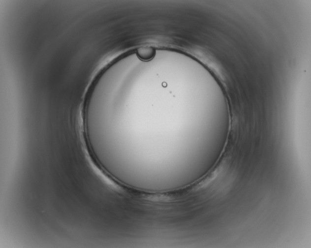 X0000114231239200910161604
