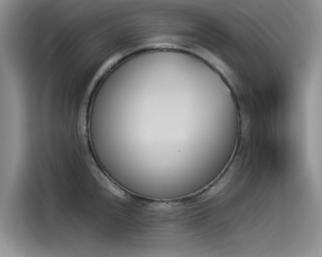 X0000114231240200910161604
