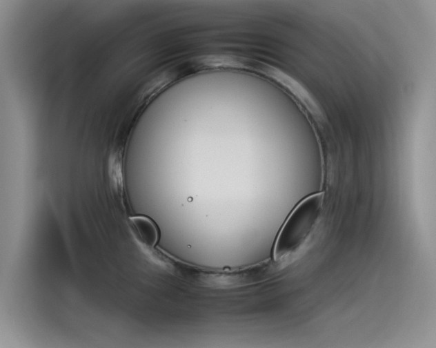 X0000114231241200910161604