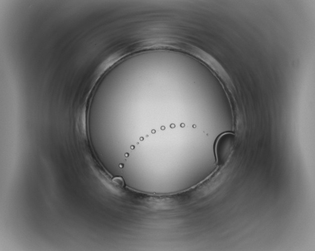 X0000114231242200910161604