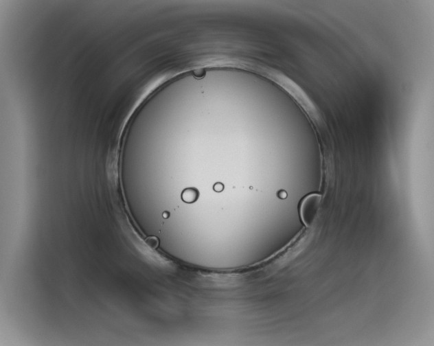 X0000114231244200910161604