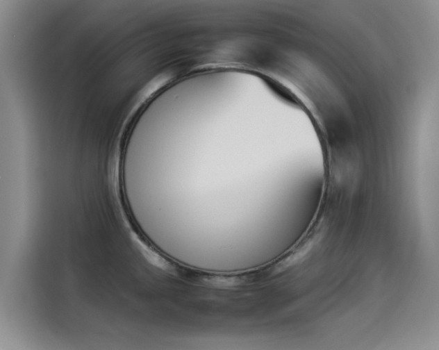 X0000114231245200910161604