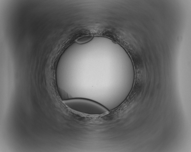 X0000114231249200910161603
