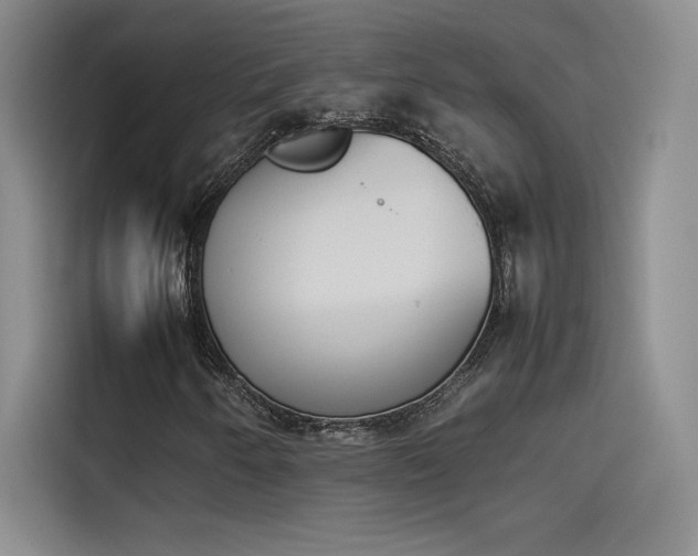 X0000114231250200910161603