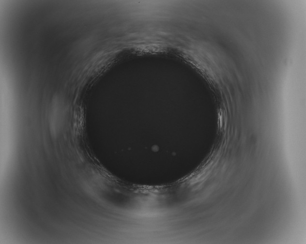 X0000114231251200910161603