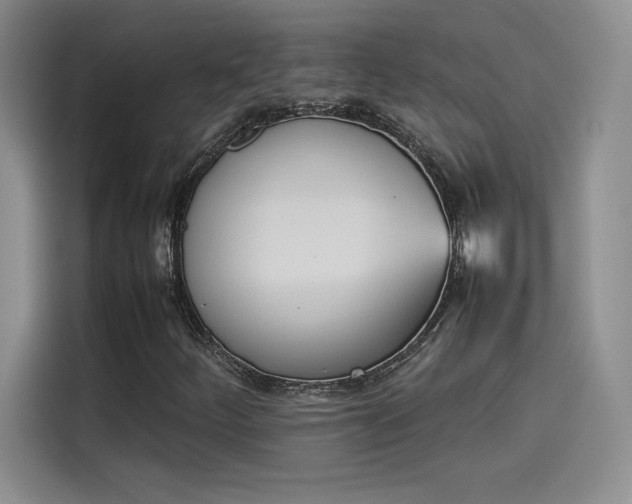 X0000114231252200910161603