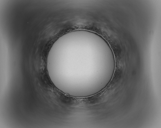 X0000114231253200910161603
