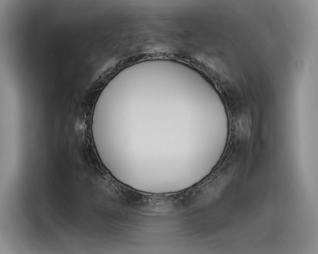 X0000114231254200910161603