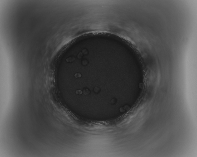 X0000114231255200910161603