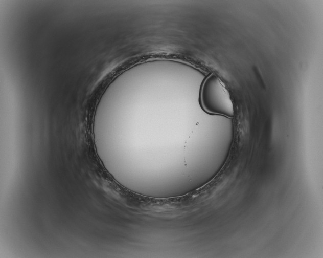 X0000114231256200910161603
