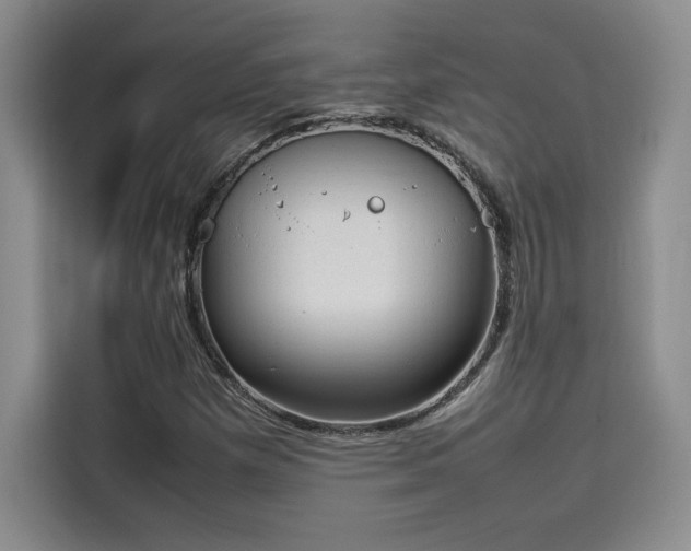 X0000114231257200910161603
