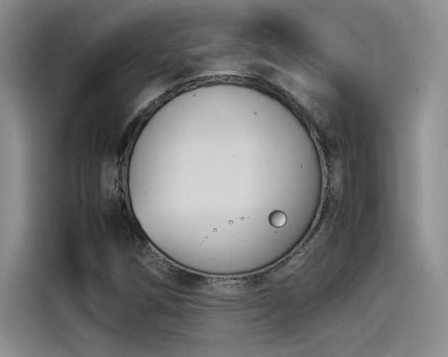 X0000114231258200910161603