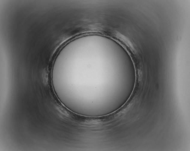 X0000114231260200910161603