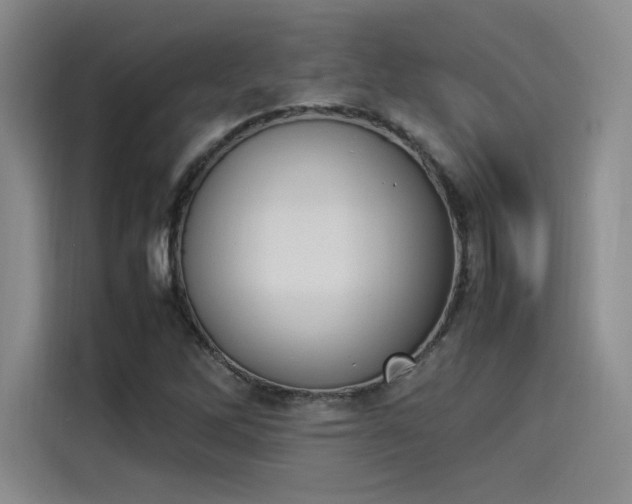X0000114231262200910161603