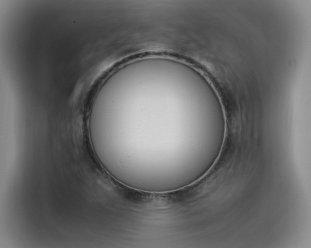 X0000114231263200910161603