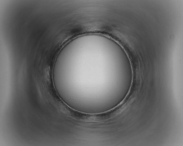 X0000114231265200910161603