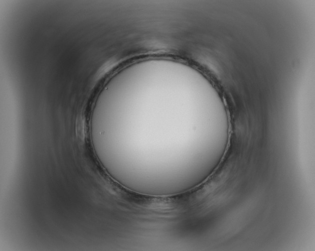 X0000114231267200910161603