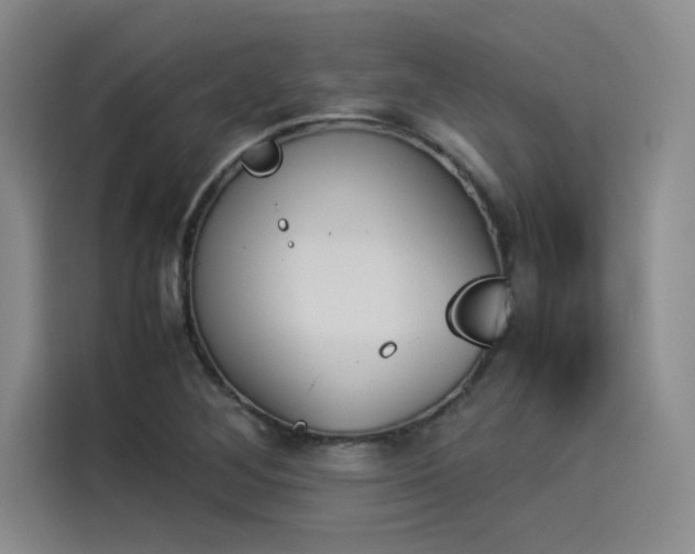 X0000114231268200910161603