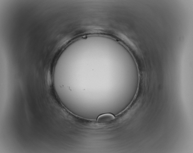 X0000114231269200910161603