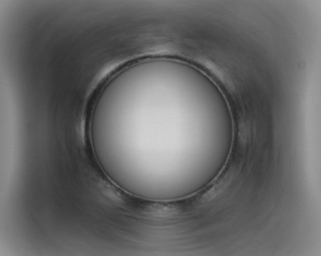 X0000114231270200910161603