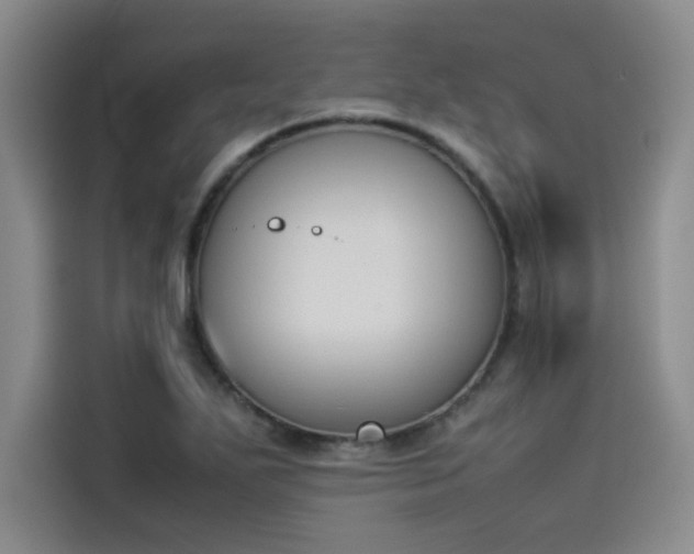 X0000114231271200910161603