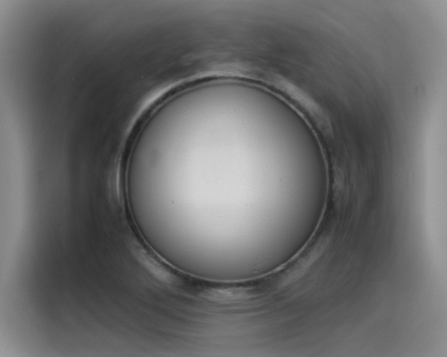 X0000114231272200910161603