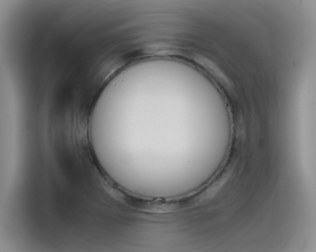 X0000114231273200910161603