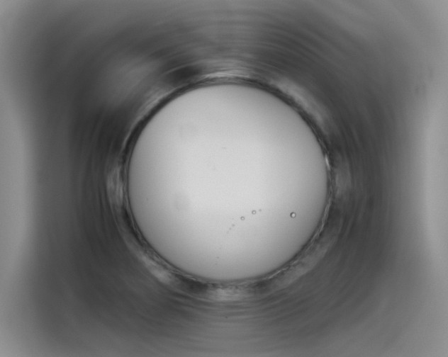 X0000114231274200910161603