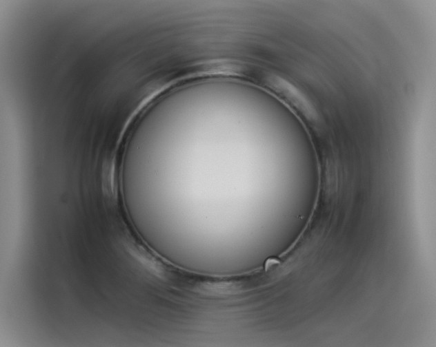 X0000114231276200910161602
