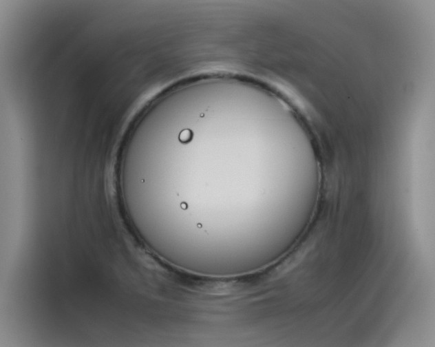 X0000114231279200910161602