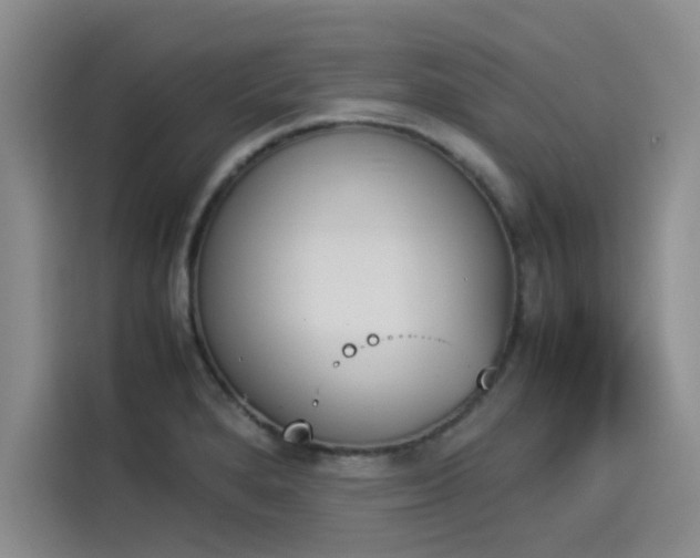 X0000114231280200910161602