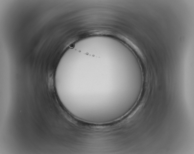 X0000114231281200910161602